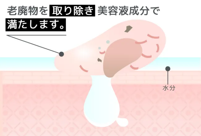 老廃物を取り除き美容成分で満たします
